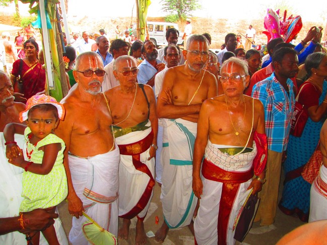 Srirangam Namperumal Jeeyapuram Ezhantharuli Purappadu 2014 -35