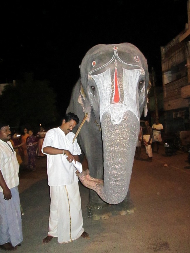 Srirangam Namperumal Jeeyapuram Purappadu 9.30 to 12.30 P.M 2014 -03
