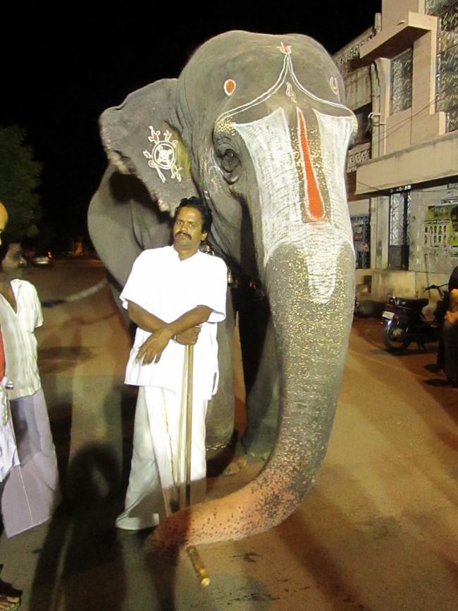Srirangam Namperumal Jeeyapuram Purappadu 9.30 to 12.30 P.M 2014 -04