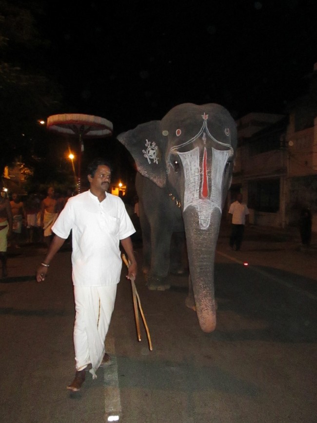 Srirangam Namperumal Jeeyapuram Purappadu 9.30 to 12.30 P.M 2014 -40