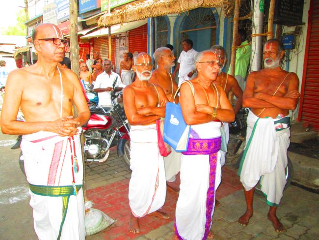Srirangam Namperumal Viruppan THiruna pallaku and Hamsa Vahanam 2014 -02
