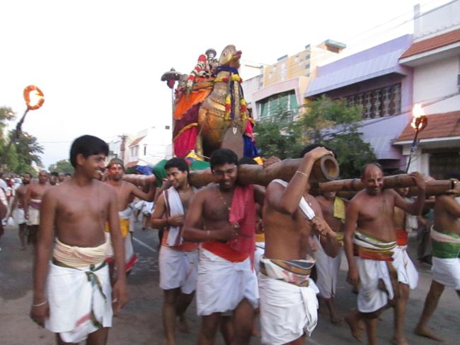 Srirangam Namperumal Viruppan THiruna pallaku and Hamsa Vahanam 2014 -16