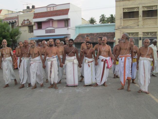 Srirangam Namperumal Viruppan THiruna pallaku and Hamsa Vahanam 2014 -24