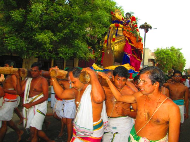 Srirangam Namperumal Viruppan THiruna pallaku and Hamsa Vahanam 2014 -33