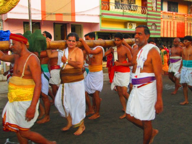 Srirangam Namperumal Viruppan THiruna pallaku and Hamsa Vahanam 2014 -36
