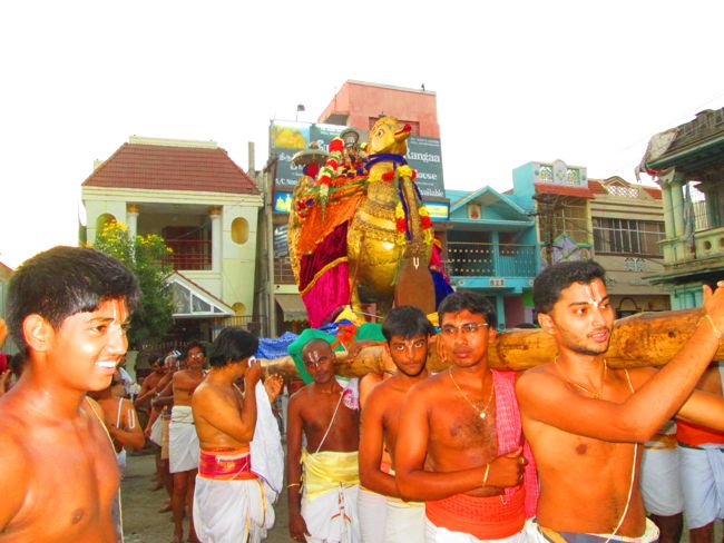 Srirangam Namperumal Viruppan THiruna pallaku and Hamsa Vahanam 2014 -37