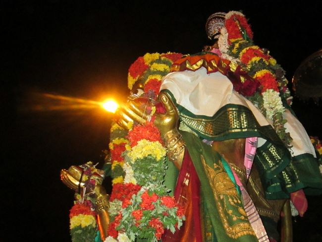 Srirangam Namperumal Viruppan THirunal Hanumantha Vahanam 2014 -01