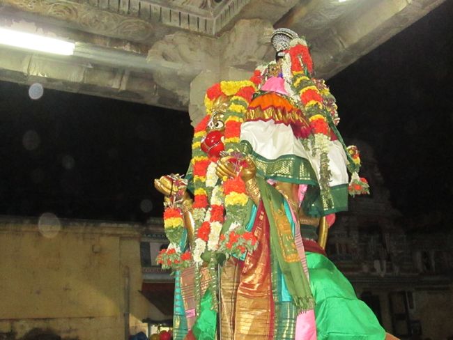 Srirangam Namperumal Viruppan THirunal Hanumantha Vahanam 2014 -33