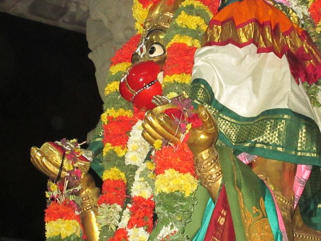 Srirangam Namperumal Viruppan THirunal Hanumantha Vahanam 2014 -34