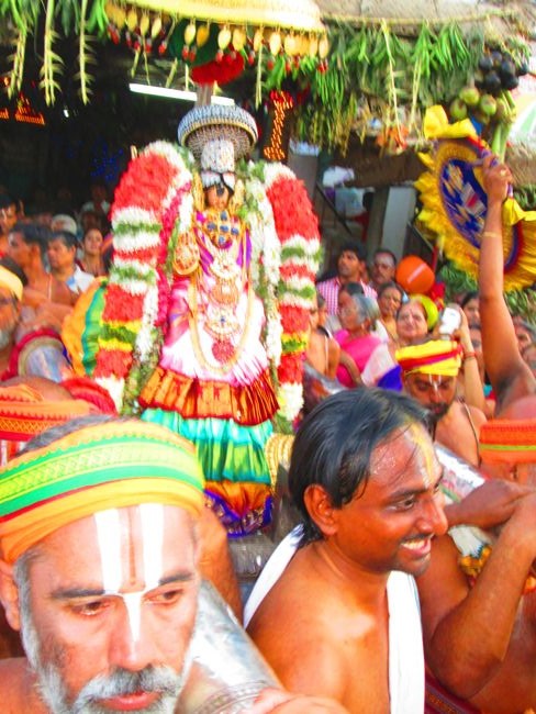 Srirangam Namperumal Viruppan THirunal Yanai Vahanam 2014 -06