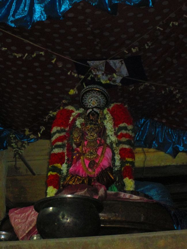 Srirangam Namperumal Viruppan THirunal Yanai Vahanam 2014 -19