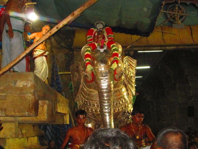 Srirangam Namperumal Viruppan THirunal Yanai Vahanam 2014 -25