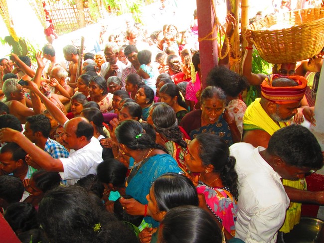 Srirangam Namperumal jeeyapuram ezhantharuli PUrappadu 2014 -22