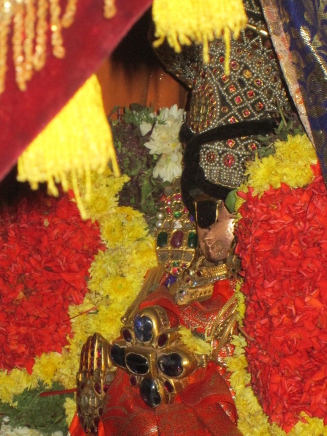 Srirangam Namperumal jeeyapuram ezhantharuli PUrappadu 2014 -23