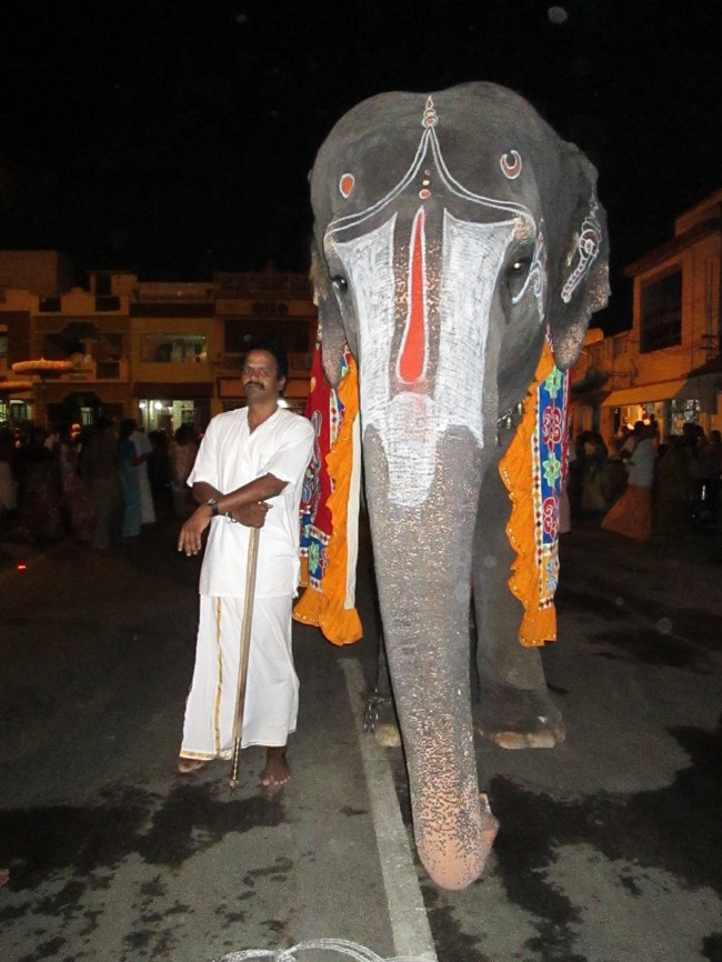 Srirangam Panguni Brahmotsavam Thiruchivigai 2014--52