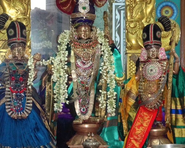 Svdd RamaNavami Utsavam day 6 2014--07