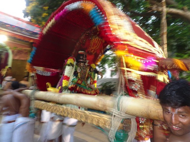 THiruvallikeni Sri Rama Navami utsavam day 5 2014--03