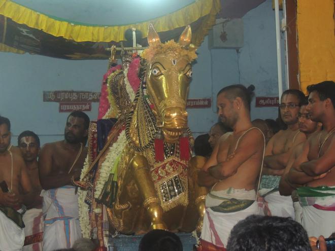 ThiruNagari Vedupari Utsavam_036