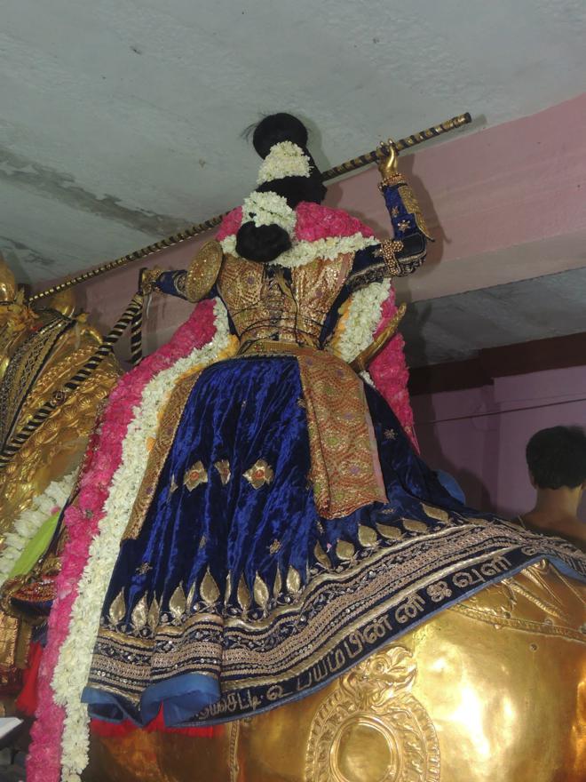 ThiruNagari Vedupari Utsavam_089