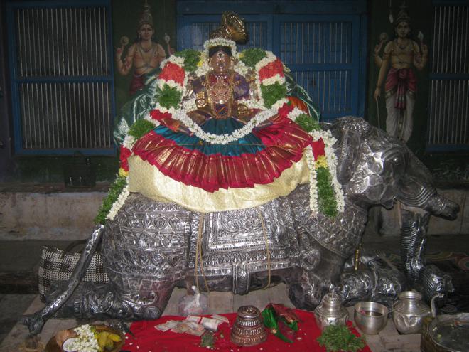 Thirukkudanthai Komalavalli Thayar_14