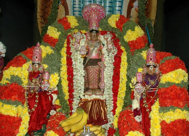 Thiruneermalai Chithirai Brahmothsavam 12