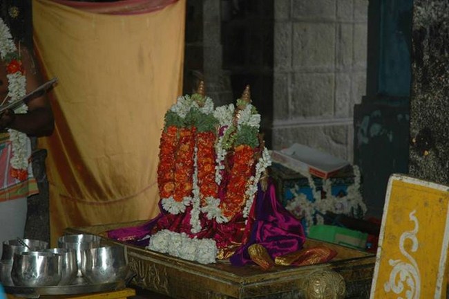 Thiruneermalai Chithirai Brahmothsavam Theerthavari 29