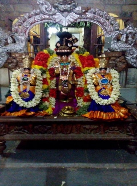 Thirupullamboothangudi Sri Valvil Ramawamy Sannadhi Brahmotsavam Day-1&25