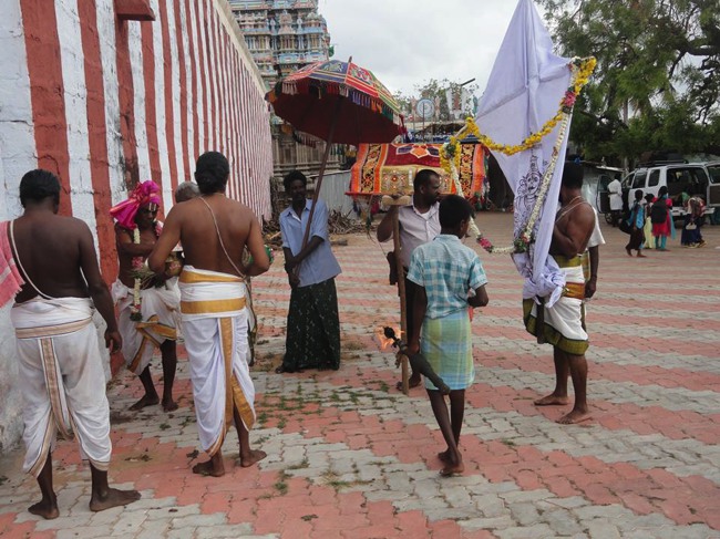 Thirupullani  Brahmotsavam Dvajarohanam 2014--05