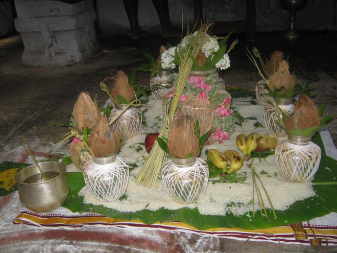Thirupullani Day 3 Brahmotsavam_32