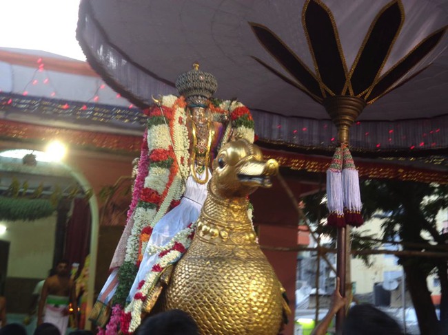 Thiruvallikeni Parthasarathy Sri Rama Navami Utsavam day 7 2014--0001