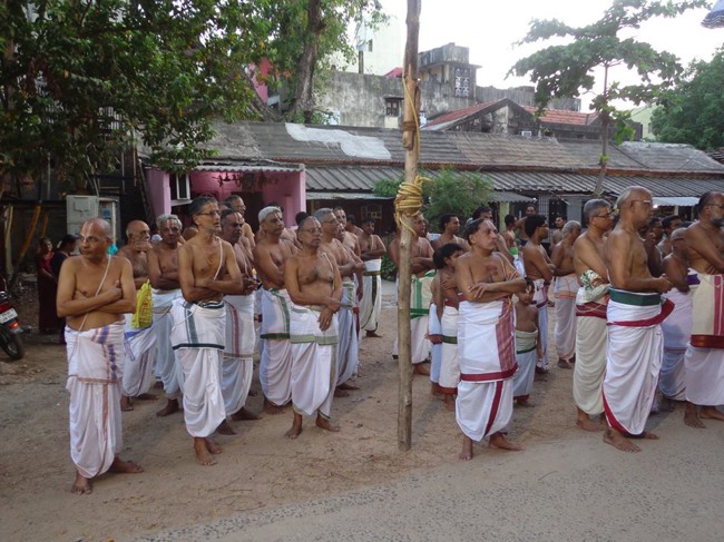 Thiruvallikeni Parthasarathy Sri Rama Navami Utsavam day 7 2014--0003