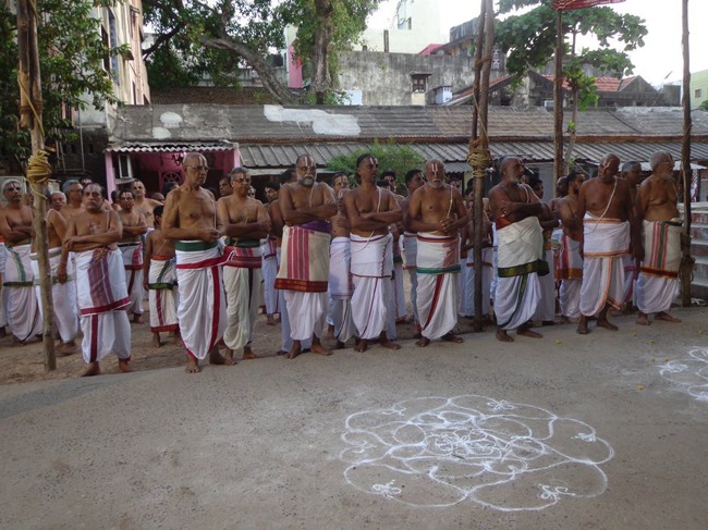 Thiruvallikeni Parthasarathy Sri Rama Navami Utsavam day 7 2014--0004