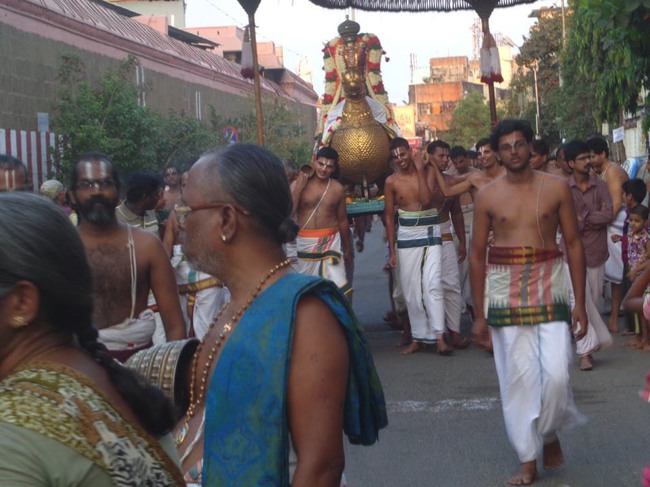Thiruvallikeni Parthasarathy Sri Rama Navami Utsavam day 7 2014--0005