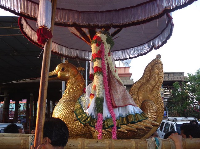 Thiruvallikeni Parthasarathy Sri Rama Navami Utsavam day 7 2014--0007