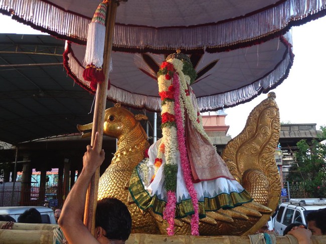 Thiruvallikeni Parthasarathy Sri Rama Navami Utsavam day 7 2014--0008