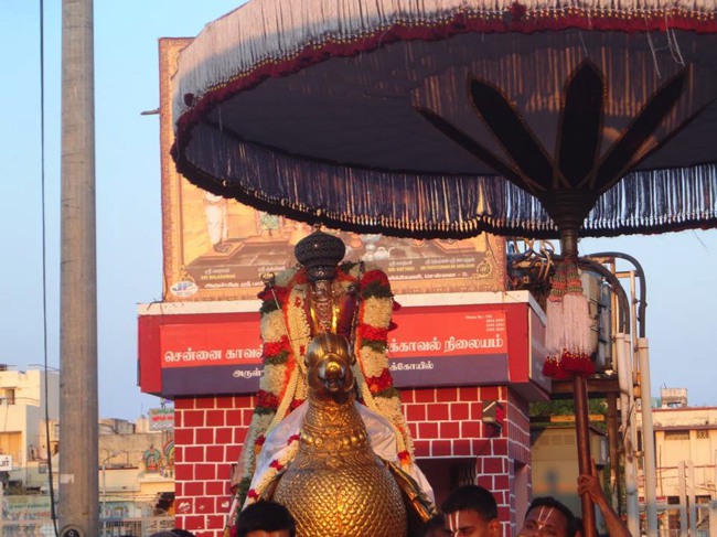 Thiruvallikeni Parthasarathy Sri Rama Navami Utsavam day 7 2014--0013
