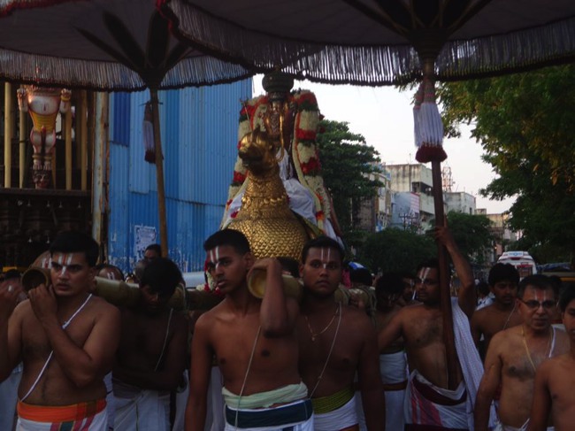 Thiruvallikeni Parthasarathy Sri Rama Navami Utsavam day 7 2014--0015