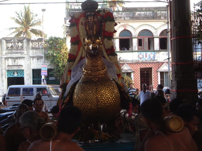 Thiruvallikeni Parthasarathy Sri Rama Navami Utsavam day 7 2014--0017