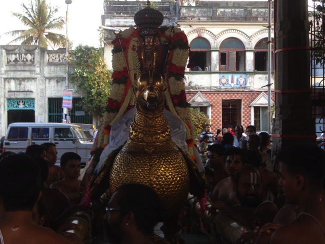 Thiruvallikeni Parthasarathy Sri Rama Navami Utsavam day 7 2014--0018