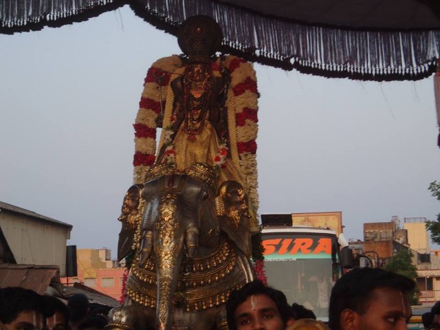 Thiruvallikeni Parthasarathy Temple Ramar Utsavam day 6 2014 -04