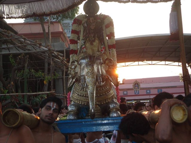 Thiruvallikeni Parthasarathy Temple Ramar Utsavam day 6 2014 -05