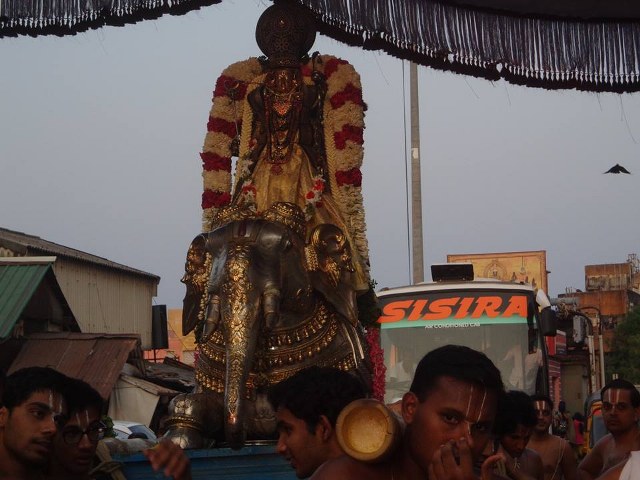Thiruvallikeni Parthasarathy Temple Ramar Utsavam day 6 2014 -06