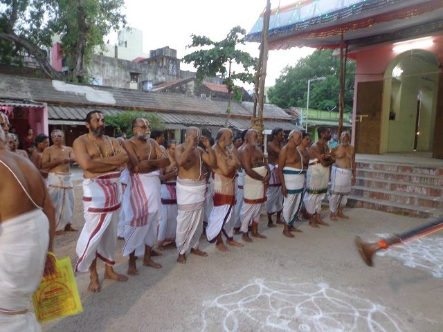 Thiruvallikeni Parthasarathy Temple Ramar Utsavam day 6 2014 -11