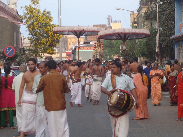 Thiruvallikeni Parthasarathy Temple Ramar Utsavam day 6 2014 -12