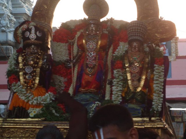 Thiruvallikeni Parthasarathy temple Ramar Utsavam day 2 2014 -01