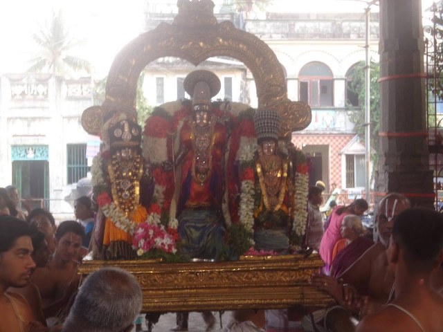 Thiruvallikeni Parthasarathy temple Ramar Utsavam day 2 2014 -08