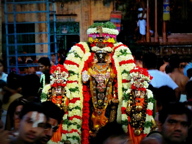 Thiruvallikeni Sri Parthasarathy Perumal Thirukoil Brahmotsavam Day 10 Siriya ThiruTher 24-04-2014   02
