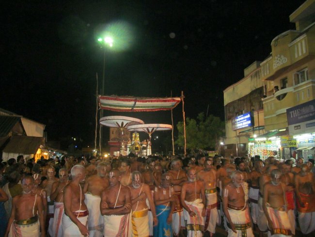 Thiruvallikeni Sri Parthasarathy Perumal Thirukoil Brahmotsavam Day 3 Evening Hamsa Vahanam 17-04-2014  10