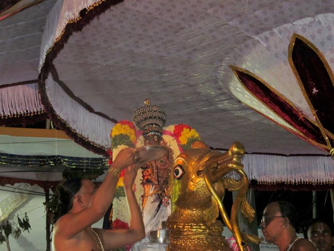 Thiruvallikeni Sri Parthasarathy Perumal Thirukoil Brahmotsavam Day 3 Evening Hamsa Vahanam 17-04-2014  19