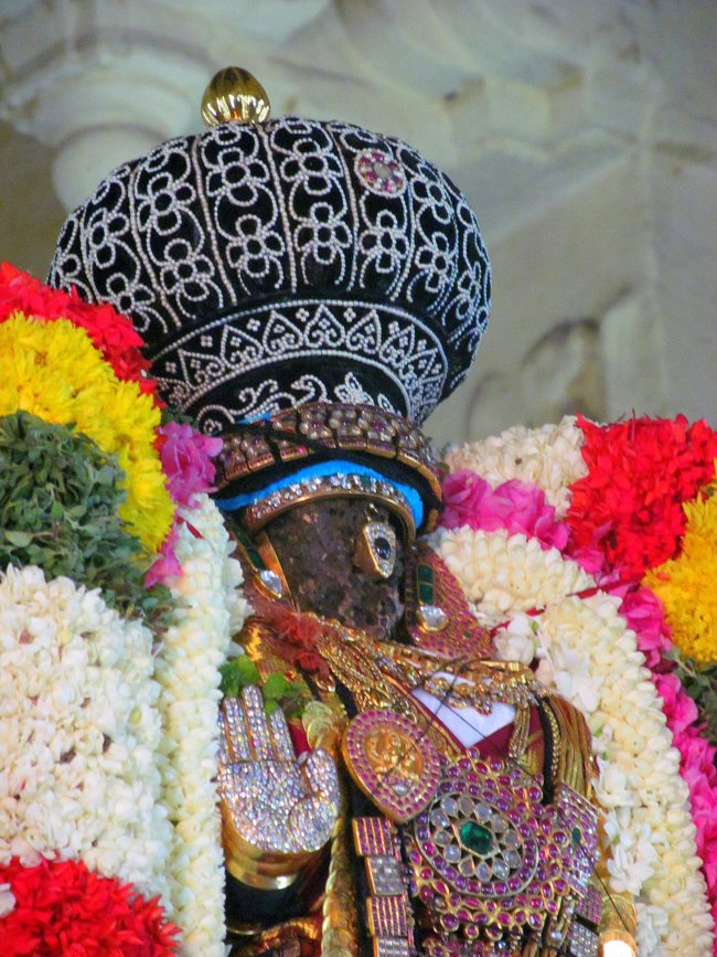 Thiruvallikeni Sri Parthasarathy Perumal Thirukoil Brahmotsavam Day 3 Evening Hamsa Vahanam 17-04-2014  25